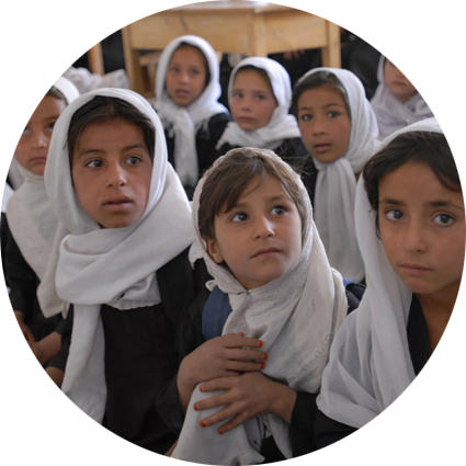 性能卓越稳定的在线网站攻击